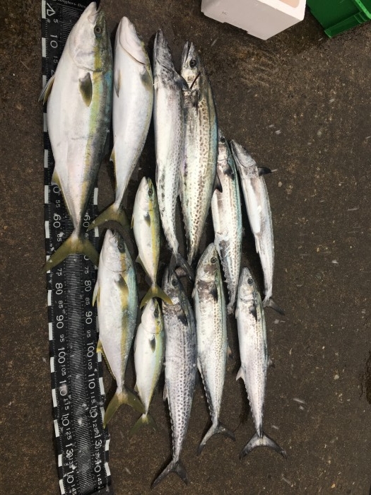 昨日の鰤ジギングは の写真