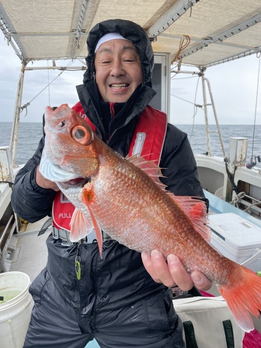 本日もアカムツスロー の写真