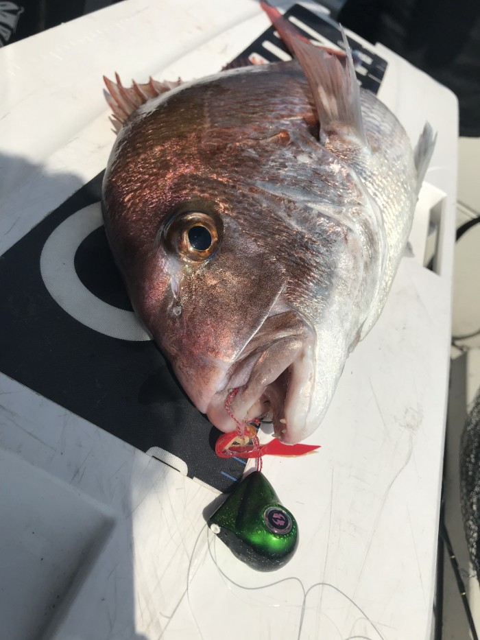 根魚五目 の写真