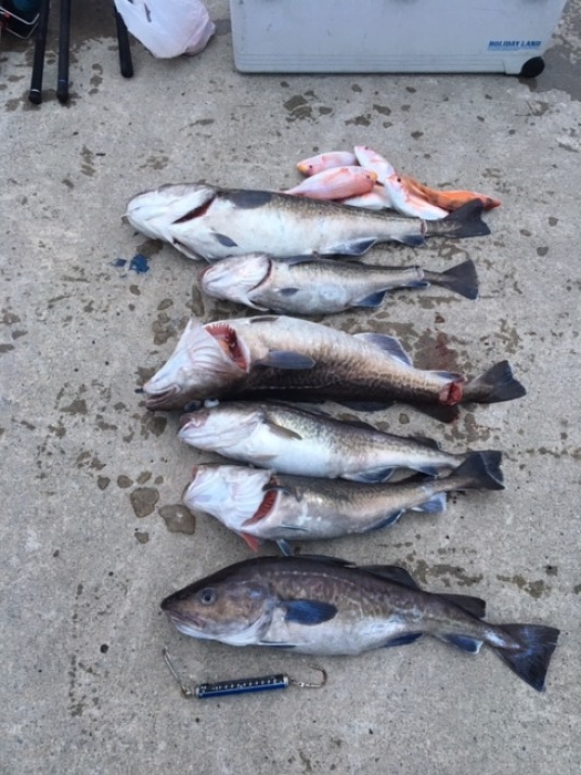 11月18日甘鯛、真鱈リレーチャーター便 の写真