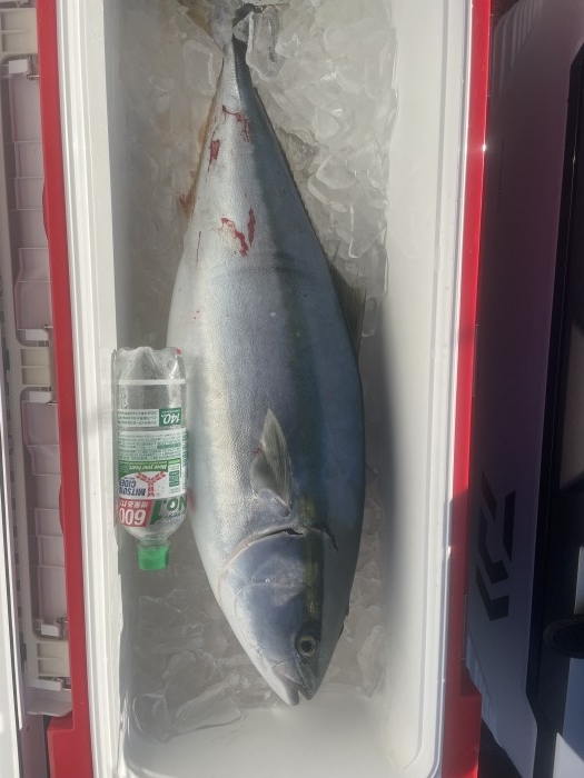 本日は撃沈 の写真