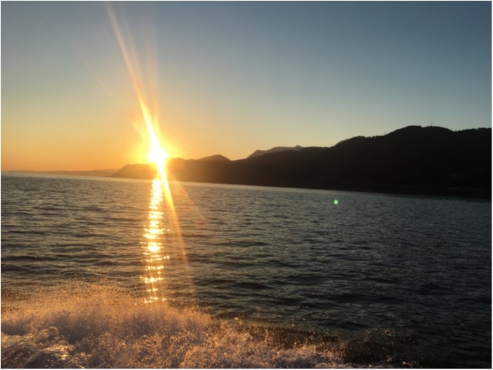 4月13日鯛ラバ便 の写真