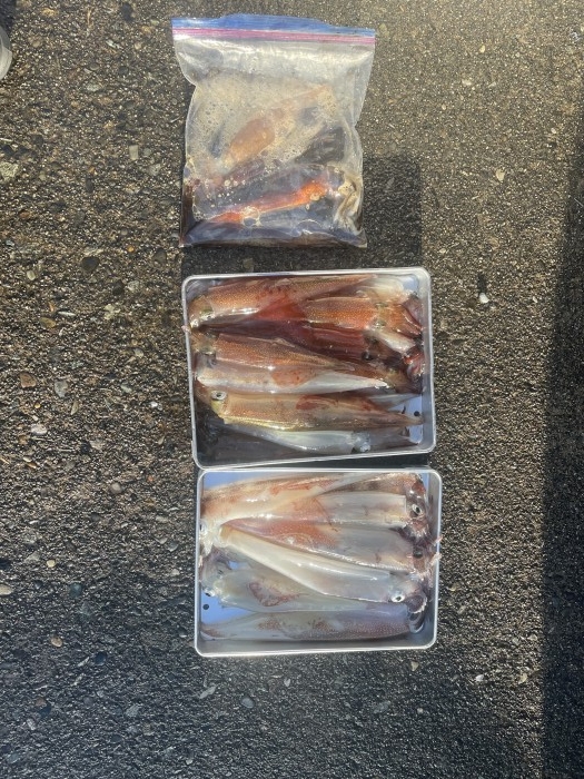 27æ—¥ãƒ¤ãƒªã‚¤ã‚«ä¾¿ の写真