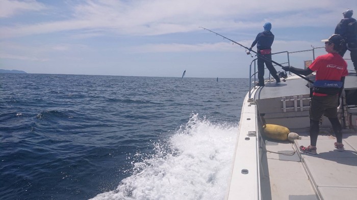 マグロキャスティング連日好調 の写真