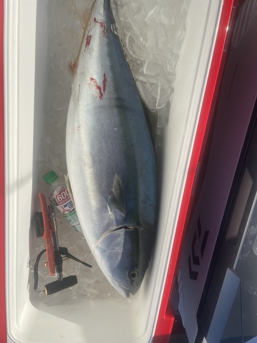 明日24æ—¥ã€25日出船出æ¥ã¾ã™â€¼ï¸ の写真