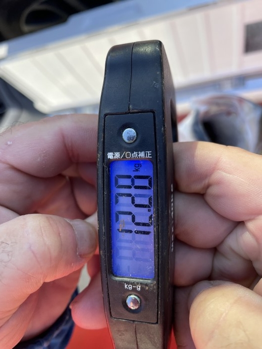 ãŸã ã„ã¾å¯’ãƒ–ãƒªã‚¸ã‚®ãƒ³ã‚°å‡ºèˆ¹ä¸­ の写真