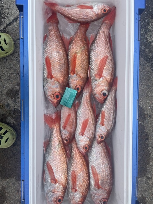 明日はアカムツ12時間便 の写真