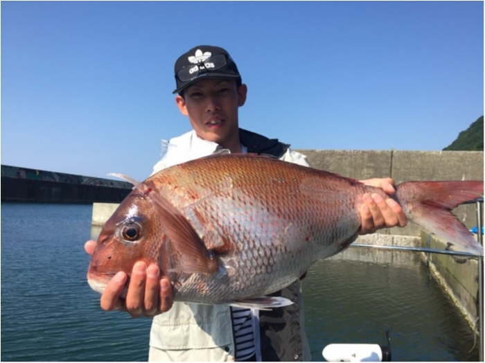 6月4日タラ、完全フカセチャーター の写真