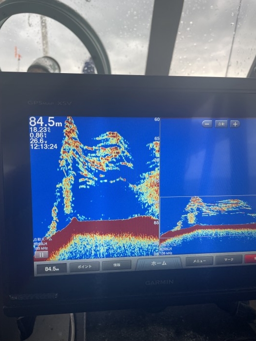 鰤は何処に?? の写真