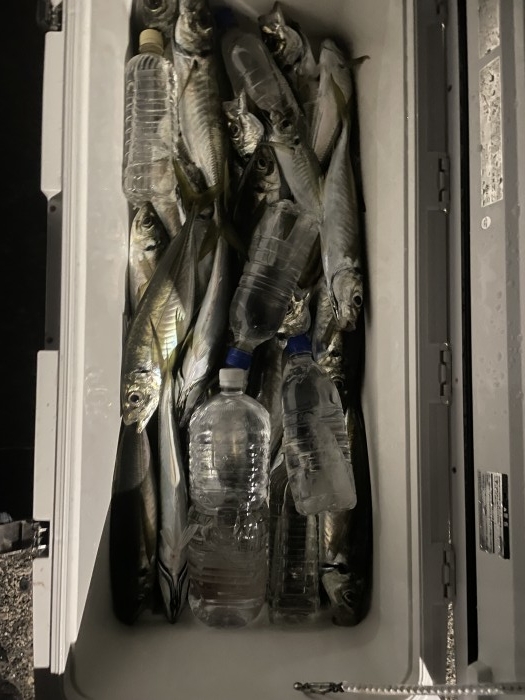 今夜はバチコン大募集 の写真