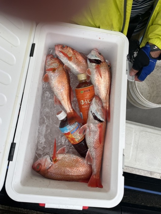 明日はアカムツ大募集❗️ の写真