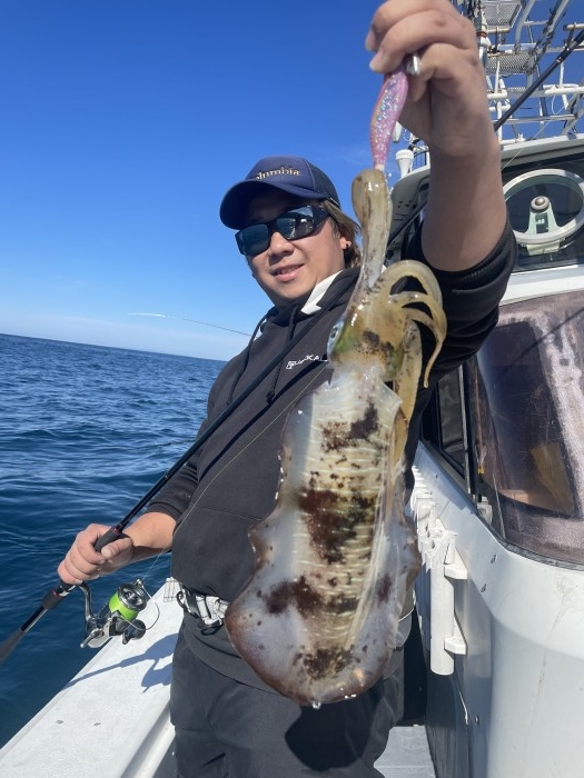 先日のTRアオリ良型揃い❗️ の写真