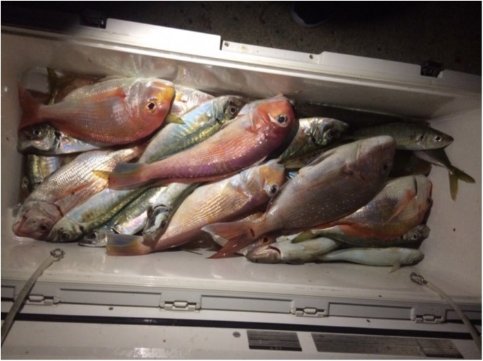 11月16日甘鯛五目釣りチャター の写真