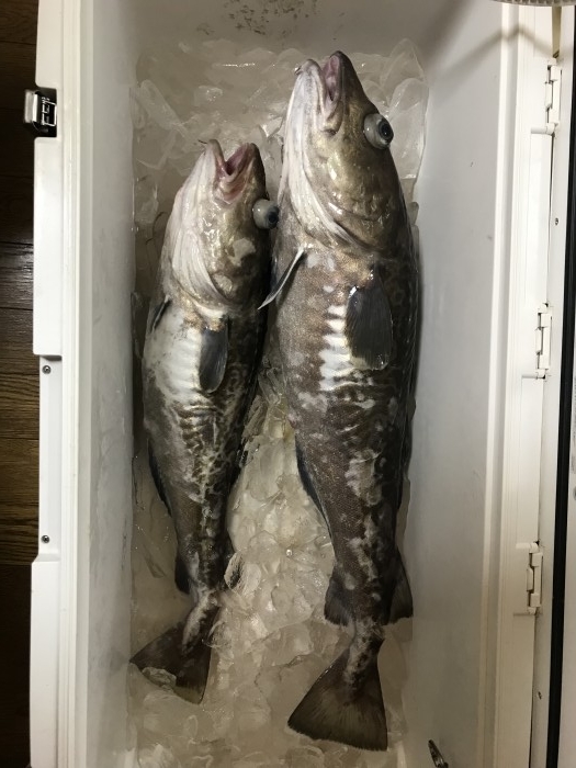 試験釣り の写真