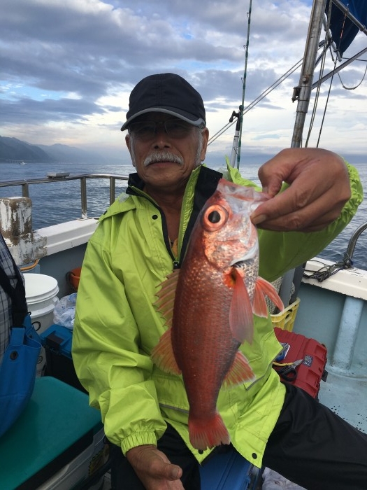 18日チャーター便 の写真