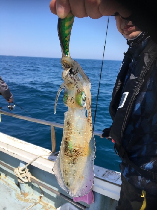 ティップランで出船 の写真