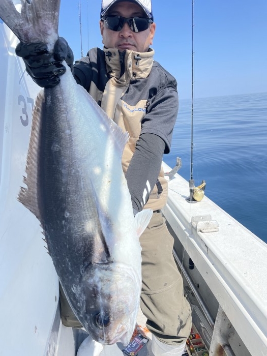 ルアー目鯛 の写真