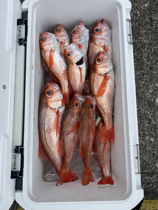 絶好調ã®èµ¤ãƒ ツ希望者大募集 の写真