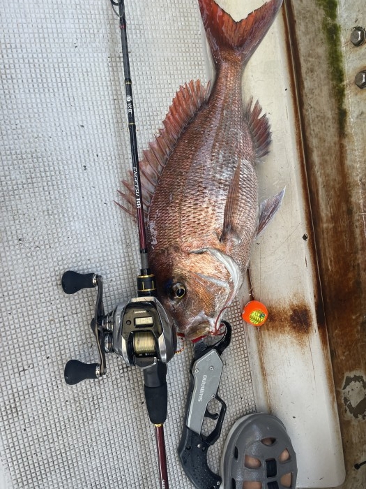 久々のタイラバは絶好調 の写真