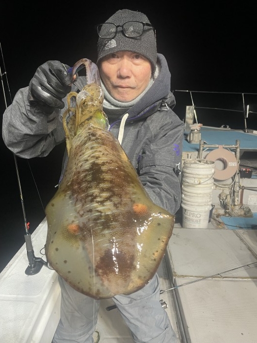 トワイライトアオリ出船 の写真