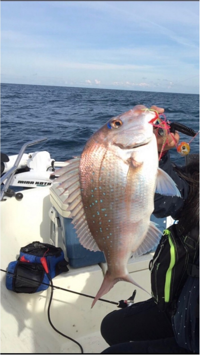 11月16日甘鯛五目釣りチャター の写真