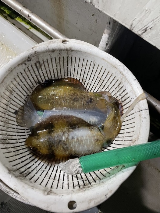 ä»Šé€±ã®äºˆå®š の写真