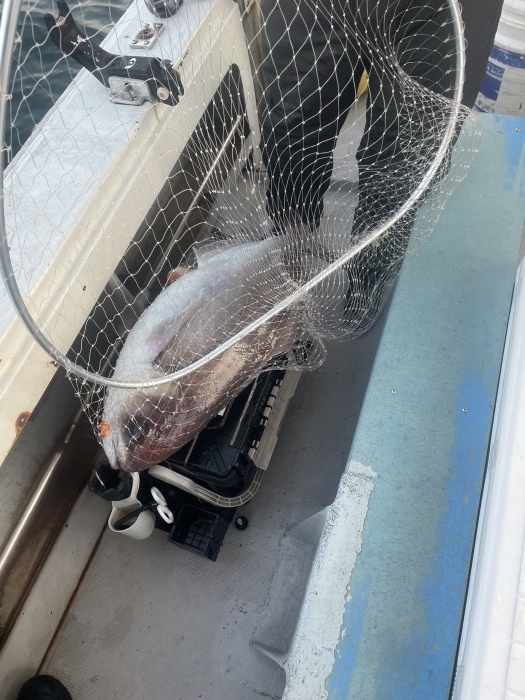 3/25メダイ餌釣り の写真