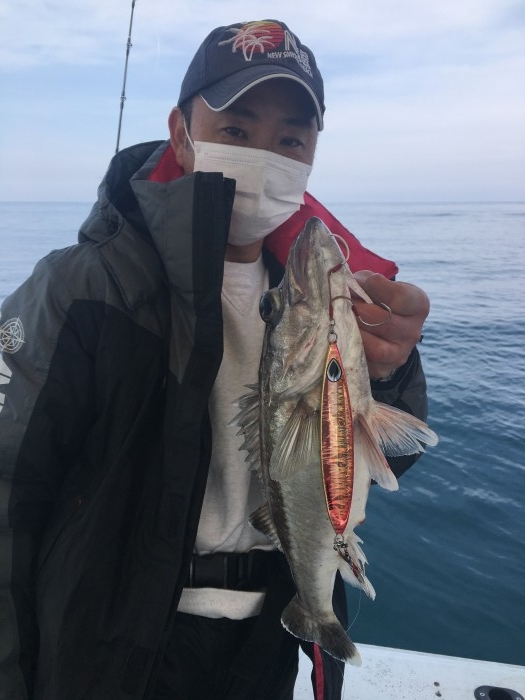 本日タイラバ、スロージギング の写真