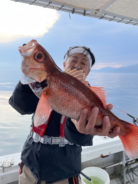 アカムツ便 アカムツのキロアップ出ました‼️ の写真