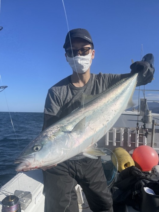 近況報告 の写真