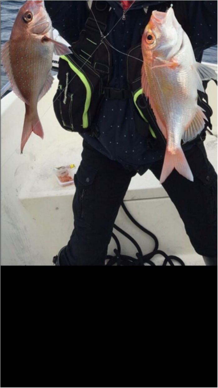 11月16日甘鯛五目釣りチャター の写真