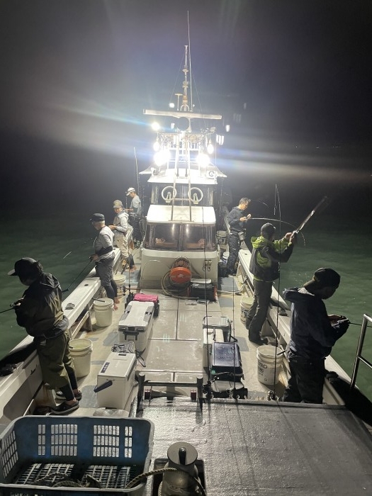 今日は夜アオリ の写真