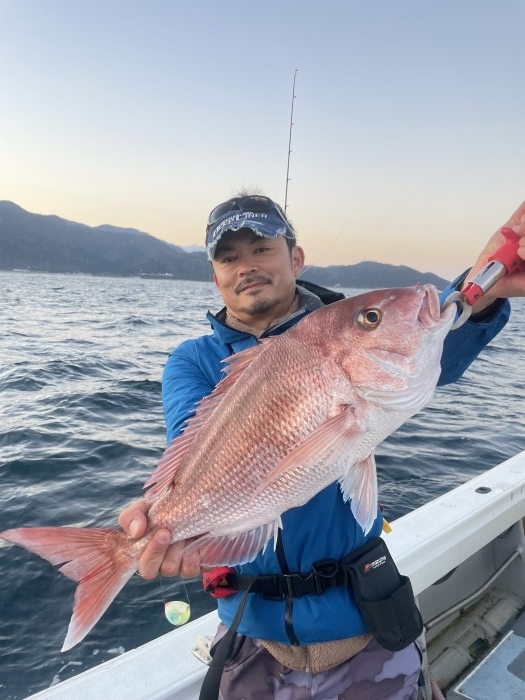 近況報告 の写真