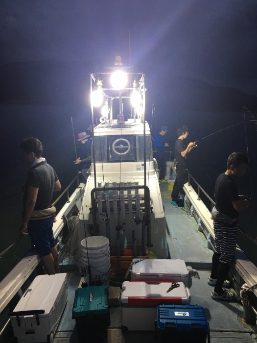 イカメタル出船中 の写真