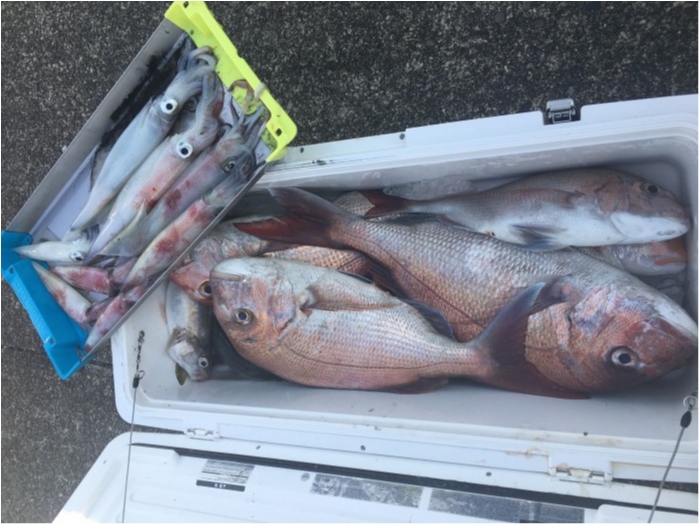 イカメタル、タイラバリレー便 の写真