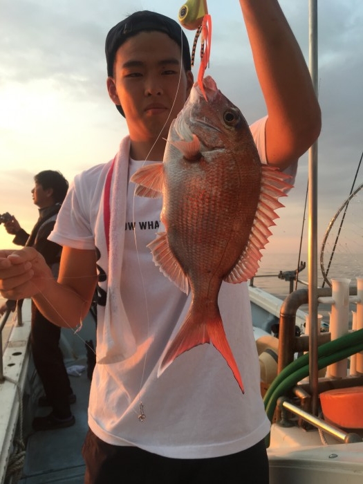 午後便、鯛ラバ の写真