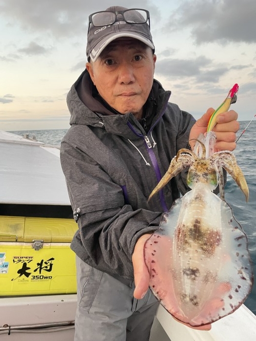 15日午後〜夜アオリ の写真