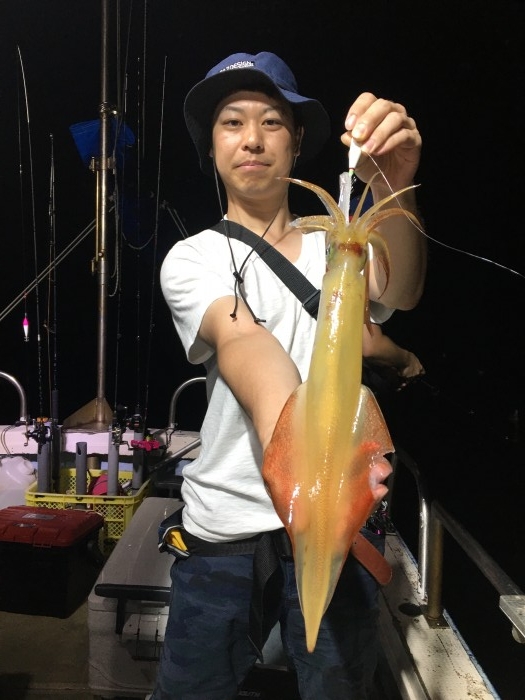 イカメタル便 の写真