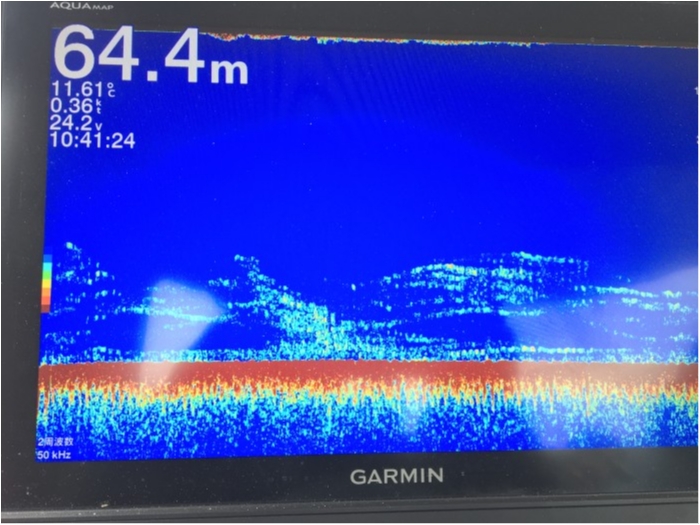 4月8日鯛ラバスロージギング の写真