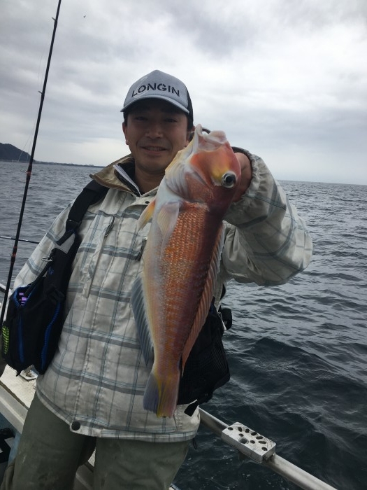 近況報告です。 の写真