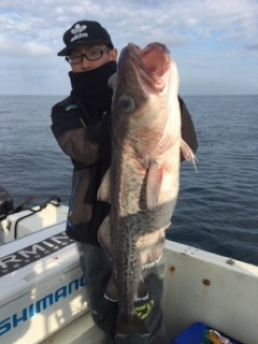 12月22日真鱈便 の写真