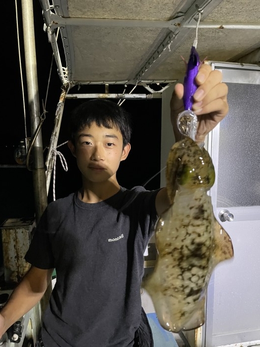 å¤œã‚¢ã‚ªãƒªçµ¶å¥½èª¿ の写真