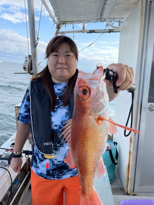 æ˜¨æ—¥ãƒ†ã‚£ãƒƒãƒ—ãƒ©ãƒ³ã€æœ¬æ—¥ã‚¢ã‚«ãƒ ãƒ„ä¾¿ の写真