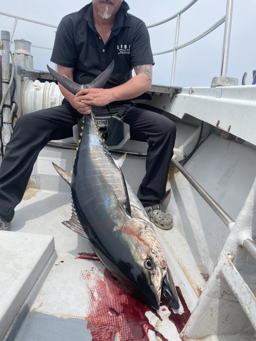 近況報告 の写真