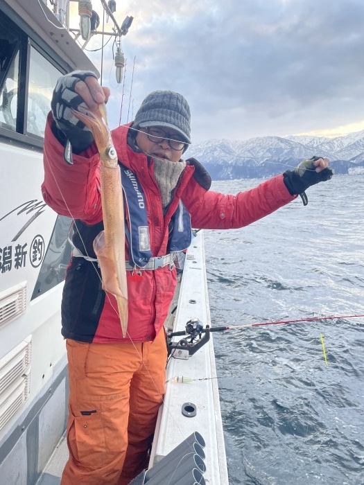 ヤリイカ便明日も出船可能です。 の写真