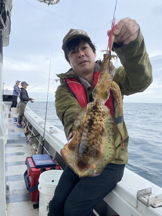 27日アオリTR の写真