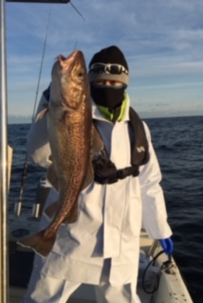 12月17日真鱈、甘鯛リレーで の写真