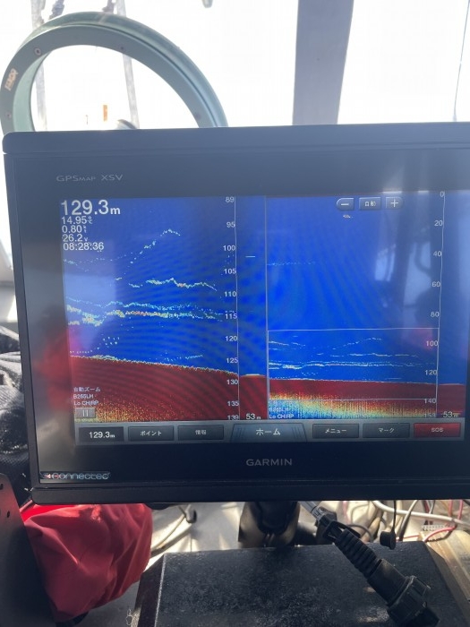 本日ã¯ä¸æ·±æµ·ã‚¹ãƒãƒ¼ã‚¸ã‚®ãƒ³ã‚° の写真