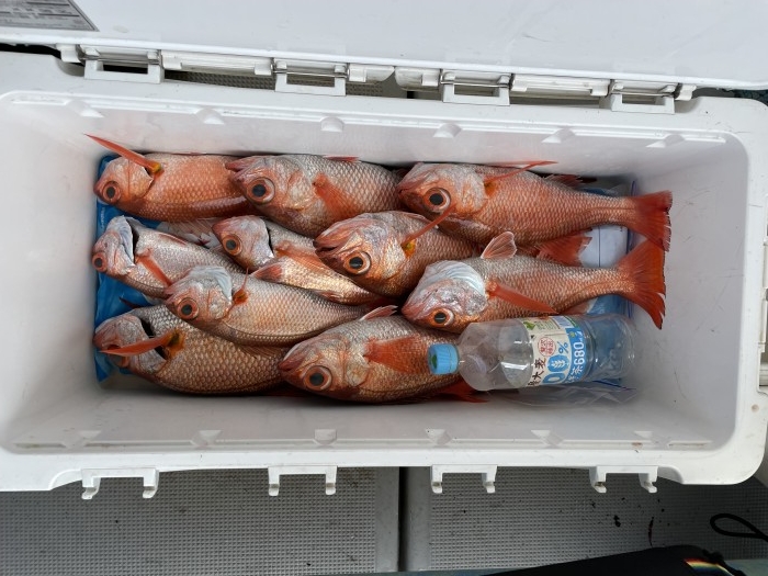 1æ—¥èµ¤ãƒ ãƒ„ä¾¿ç©ºãæœ‰ã‚Š の写真