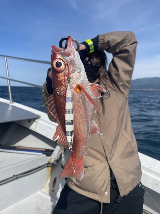 8日タイラバ、午後アカムツスロー の写真